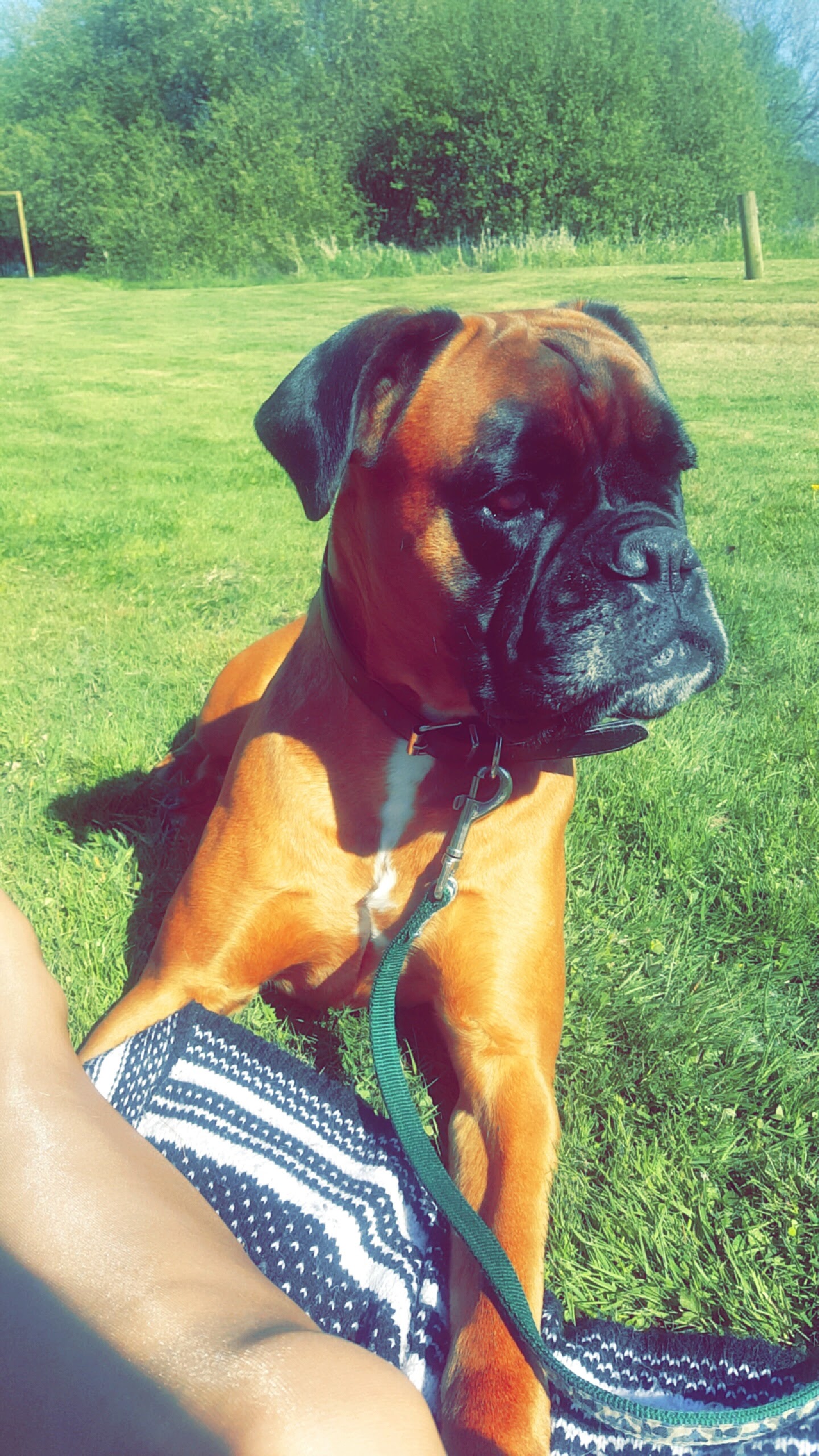 Gaïla An Dervenn Vihan