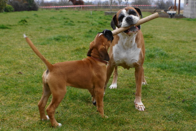 Deisha et Salem